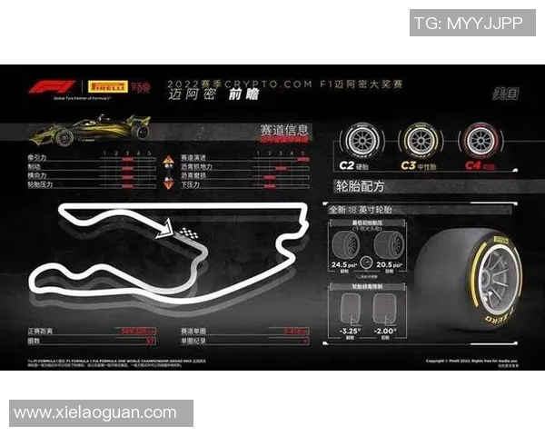 新泻天鹅与甲府风林的对决解析及比赛前瞻分析